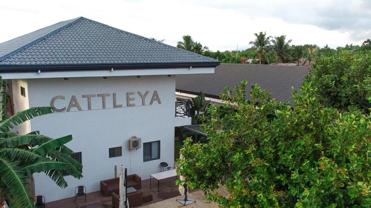 Bohol Cattleya Resort Panglao-stad Buitenkant foto